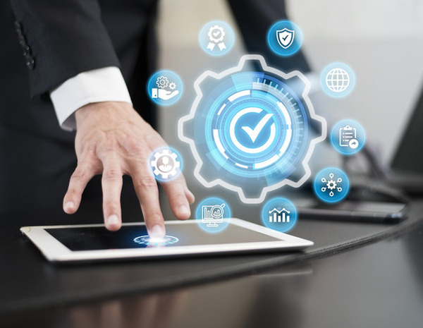 Project Management and Technical Support